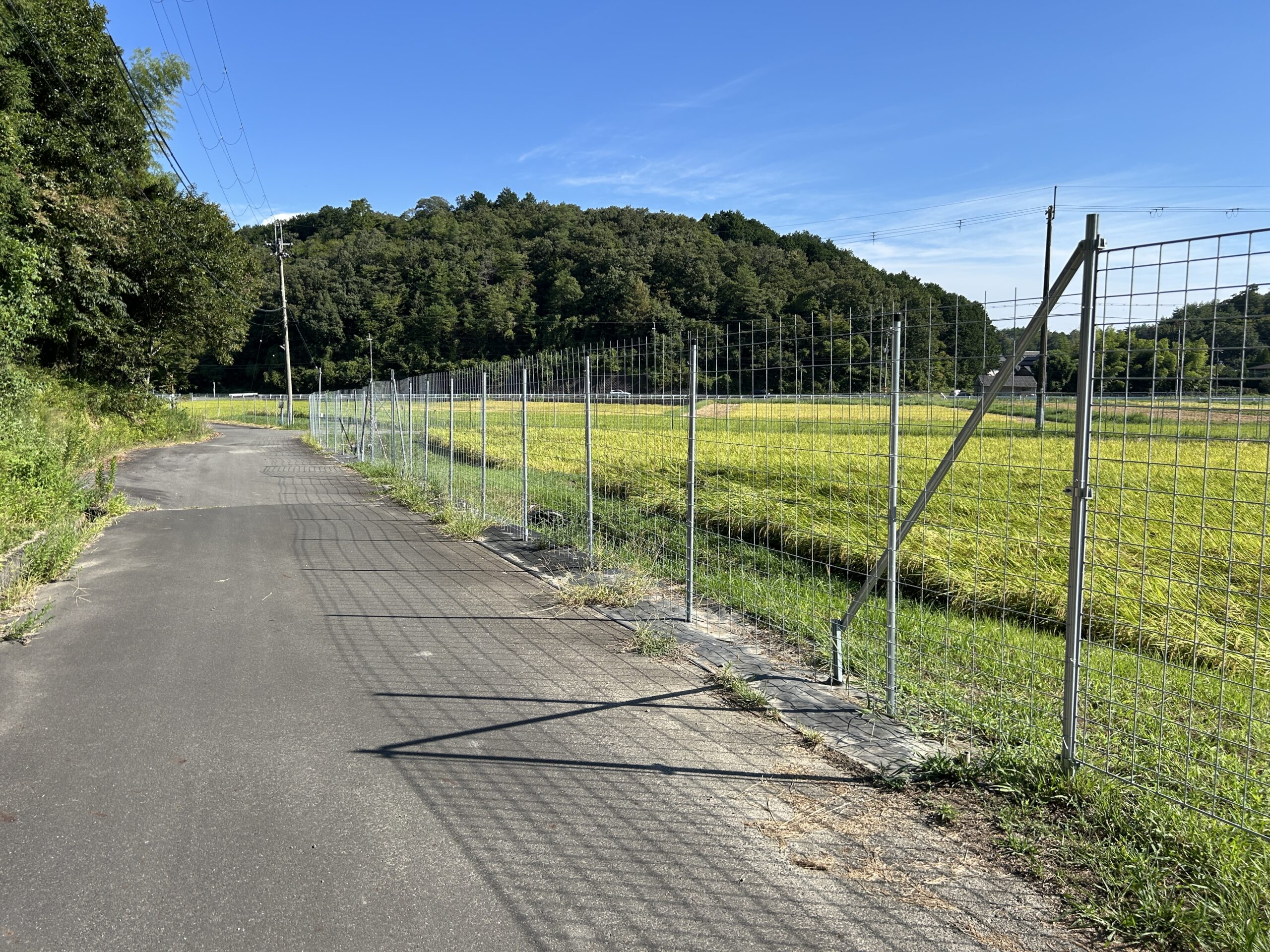 イノシシ向け　強力な突進堀返し阻止